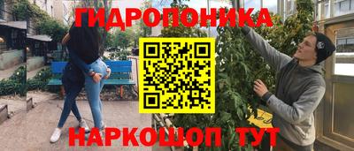 прущие крисы Конаково