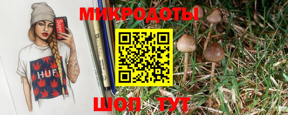 Псилоцибиновые грибы мухоморы Кашира