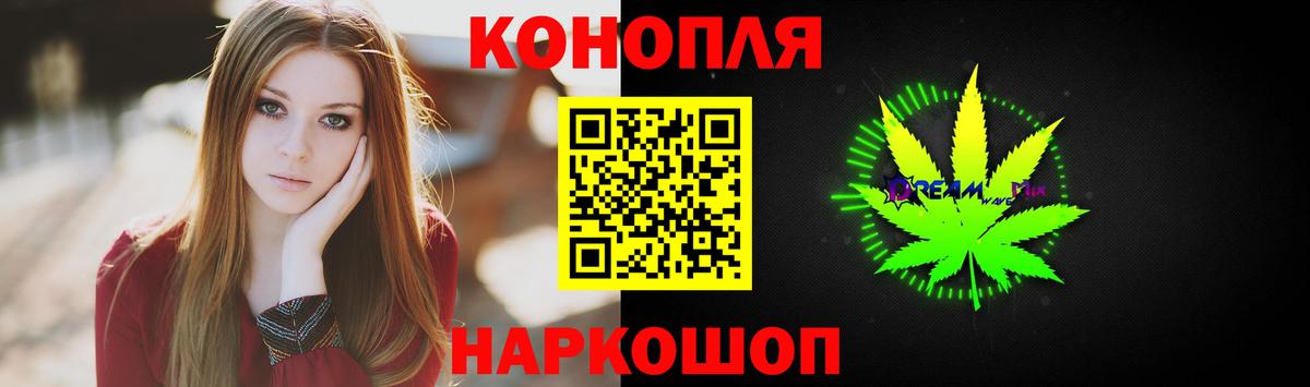 Канабис планчик Кашира